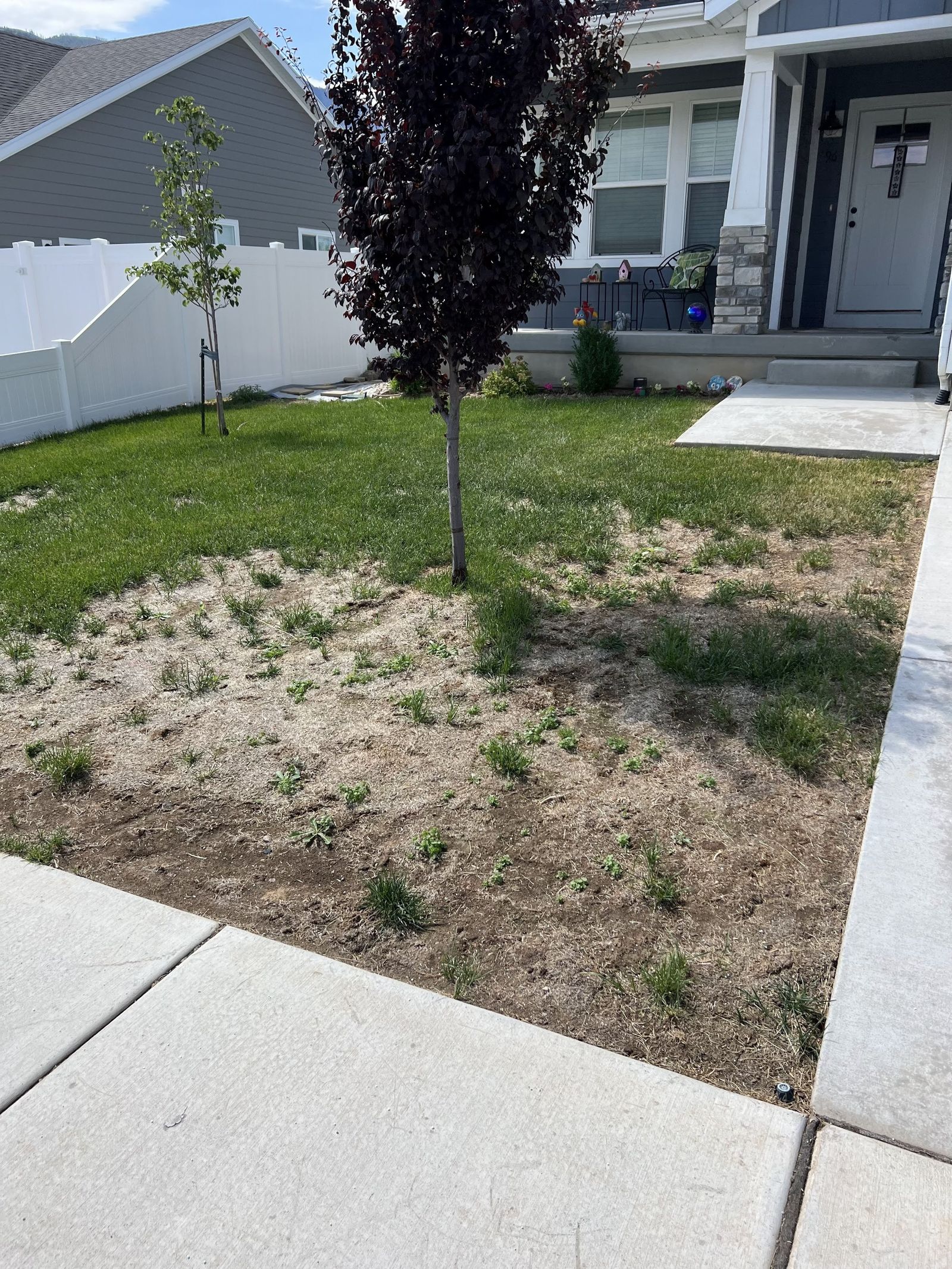 The Hidden Winter Threat: Lawn Pests & Diseases That Survive Under Utah Snow