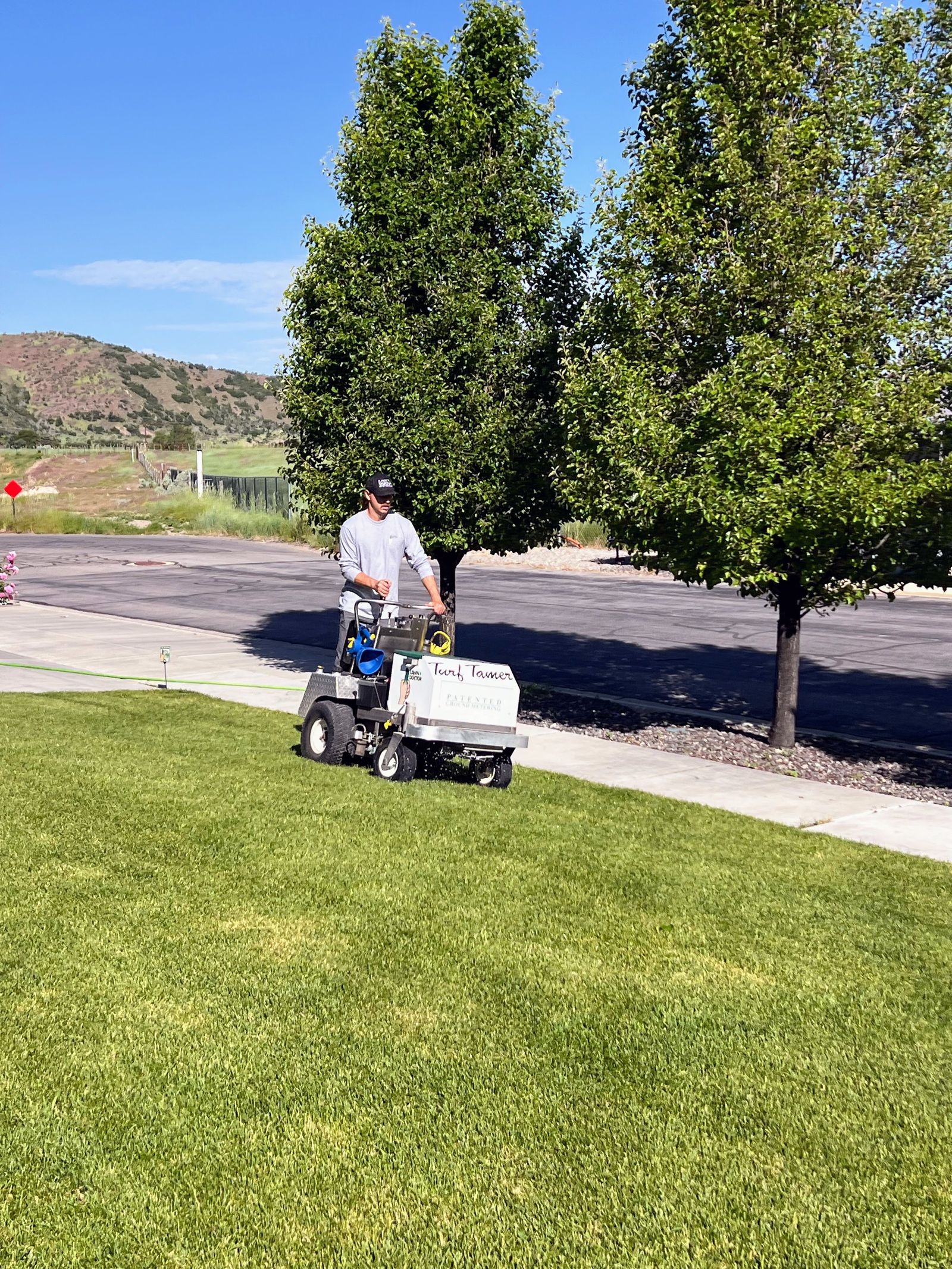 Lawn Doctor technician riding a turf tamer across a well-kept lawn near trees and a sidewalk, with mountains in the background.