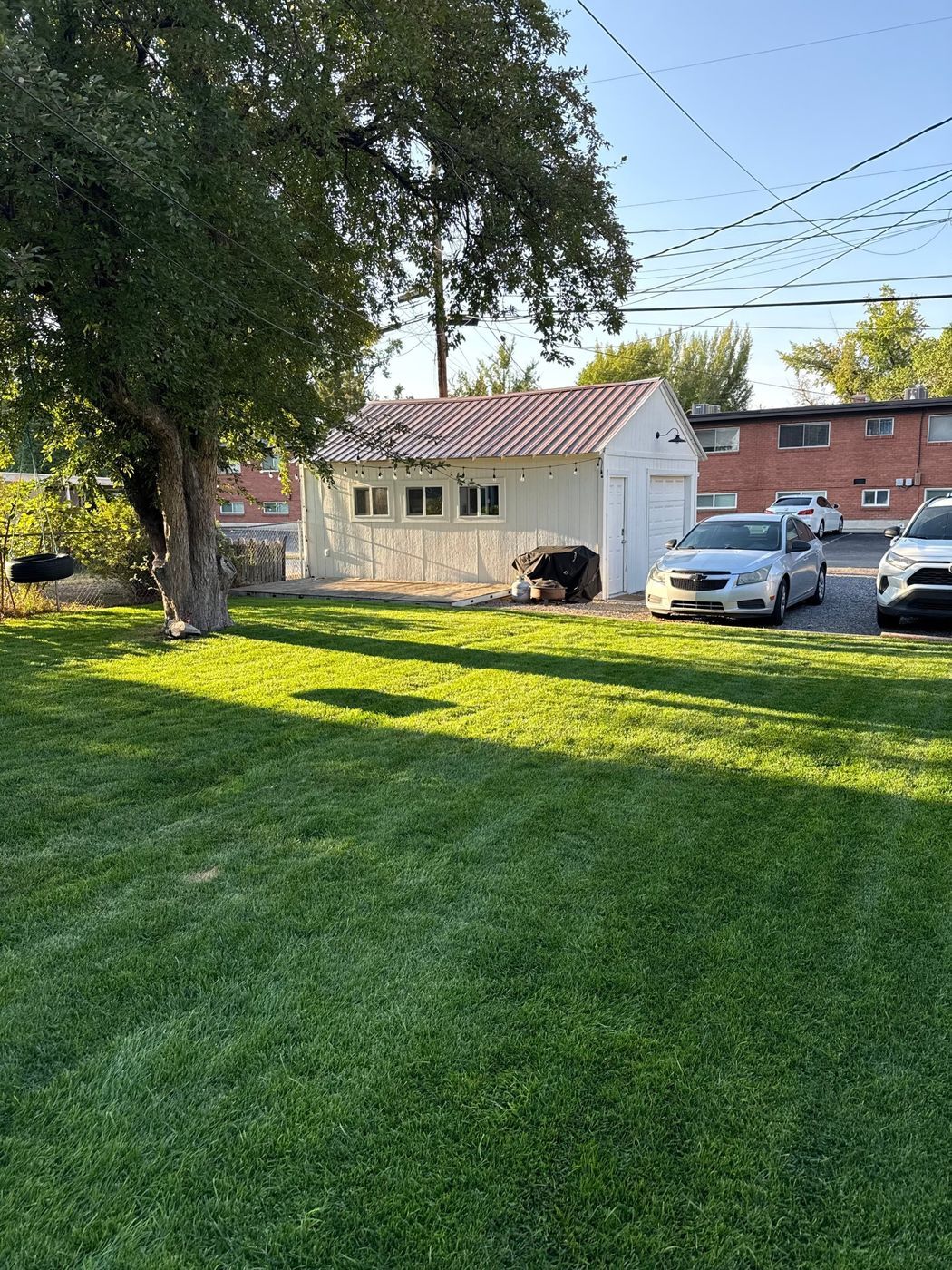 A thick green lawn beside a large shade tree