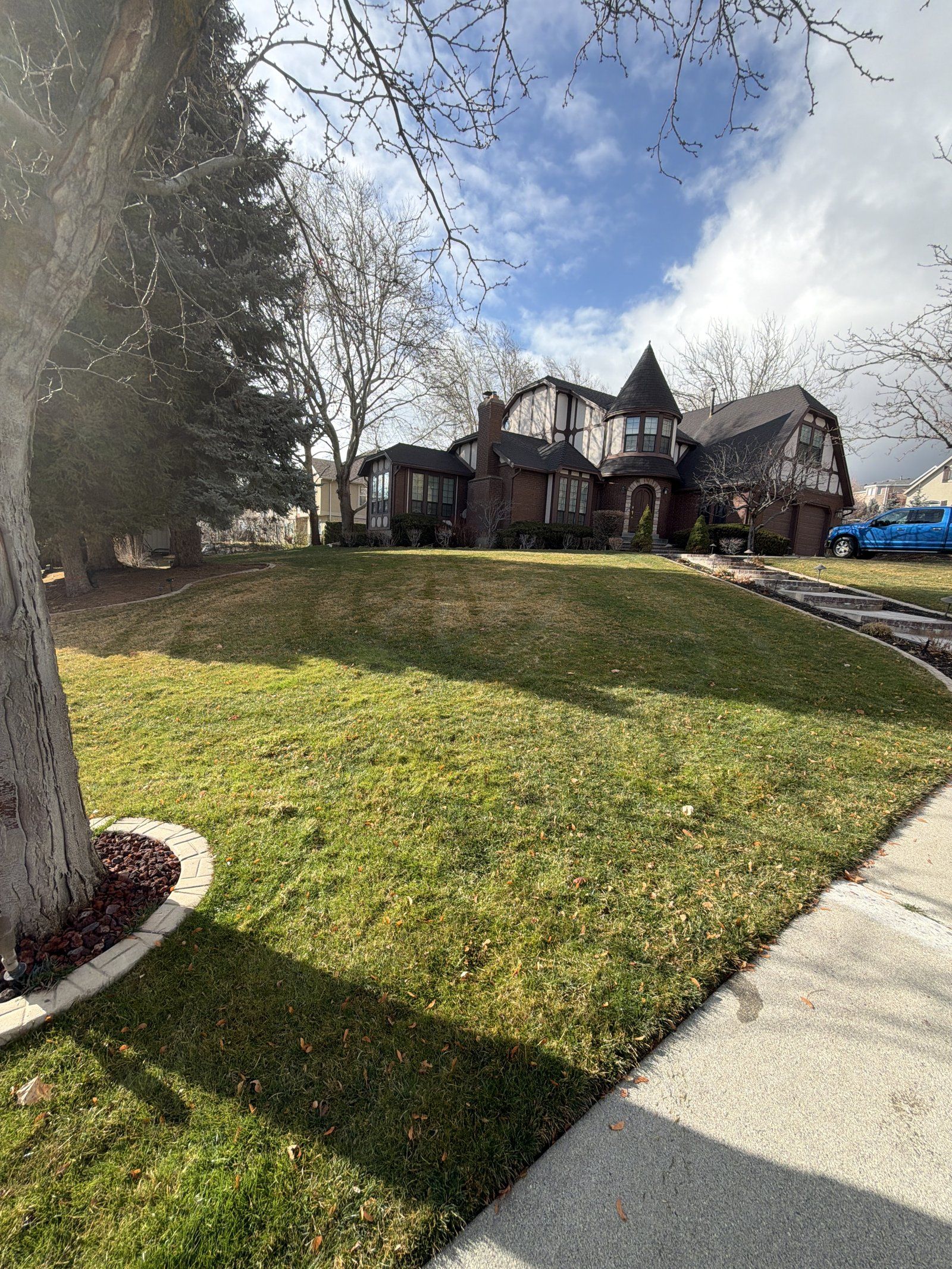 Utah County front lawn in March, thin and tan under a bare tree, before the season of treatments.