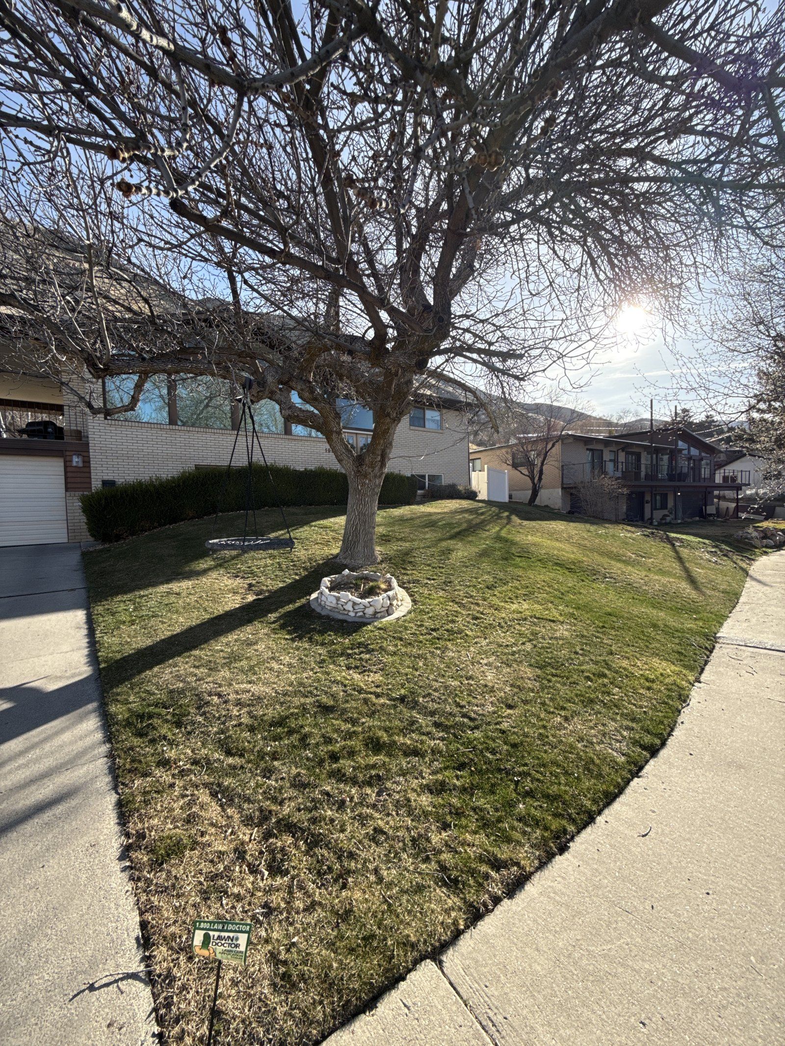 Utah County lawn in early spring before the first pre-emergent application.